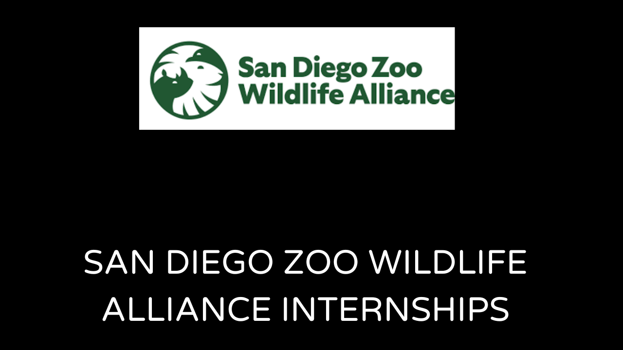 San Diego Zoo Internships