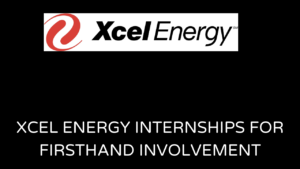 Xcel Energy Internships